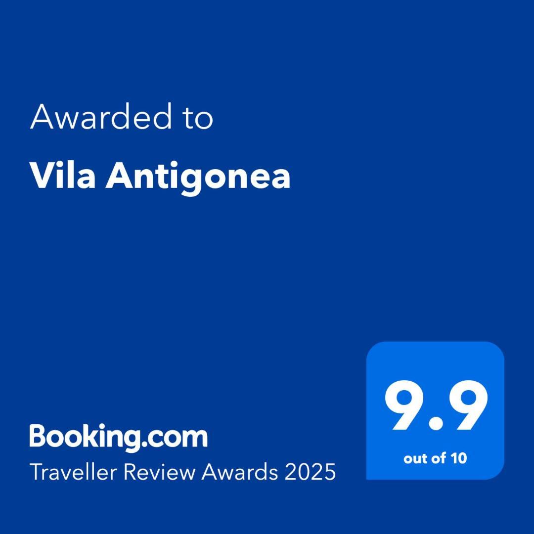 Antigonea *